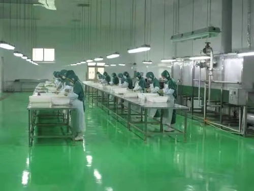 全國綠色蔬菜和有機農(nóng)產(chǎn)品生產(chǎn)示范區(qū)的工程技術(shù)研究與試驗發(fā)展