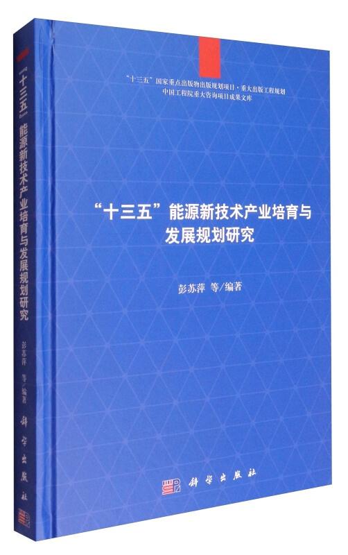 中國工程院重大咨詢項目成果文庫 十三五能源新技術產業培育與發展規劃研究